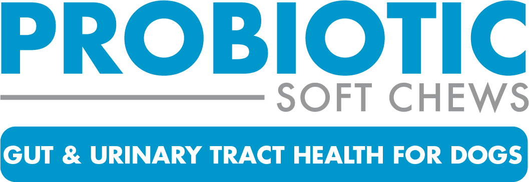 Hp daily probiotic